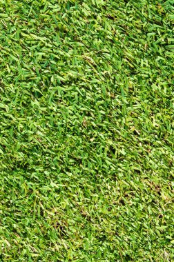 futbol sahası yeşil çimen arkaplan dokusu