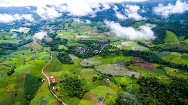 Terastaki pirinç tarlaları, pirinç tarlaları, Tayland 'ın kuzeyindeki Chiangmai bölgesi.  
