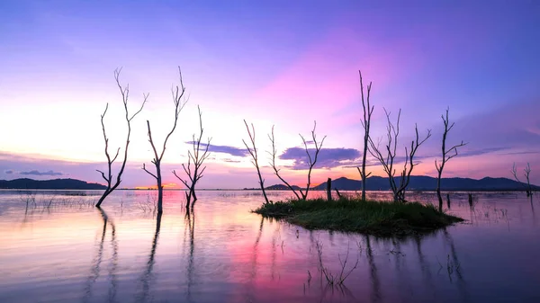 Piękny Zachód Słońca Zbiorniku Odbicie Sylwetek Suche Drzewo Krajobraz Tajlandia — Zdjęcie stockowe