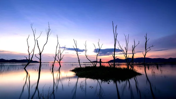 Красивый Закат Водохранилище Отражение Силуэтов Сухое Дерево Ландшафт Таиланда — стоковое фото