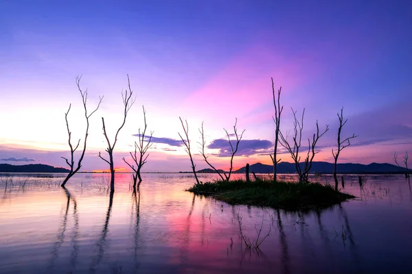 Hermoso Atardecer Embalse Reflejo Siluetas Árbol Seco Paisaje Tailandia — Foto de Stock