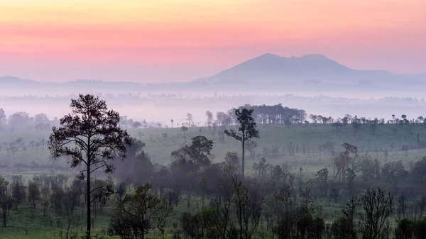 Táj Gyönyörű Hegy Napkelte Háttér Természet Köd Erdő Thaiföld — Stock Fotó