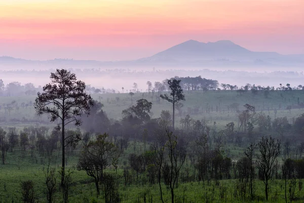 Táj Gyönyörű Hegy Napkelte Háttér Természet Köd Erdő Thaiföld — Stock Fotó