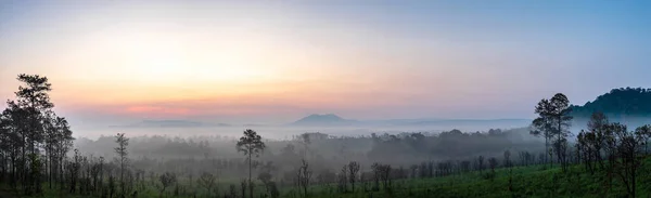 Panorámás Táj Gyönyörű Hegy Napfelkelte Háttér Természet Köd Erdőben Panoráma — Stock Fotó