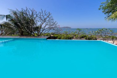 Yüzme havuzu mavi su ve deniz manzaralı tropikal bahçe