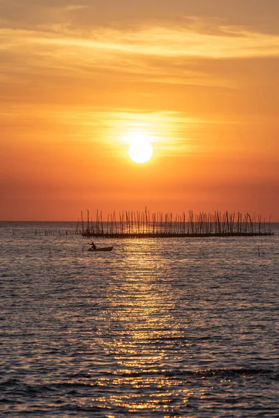 Ферма Ойстер Море Красивый Фон Заката Солнце Облака Ландшафтная Природа — стоковое фото
