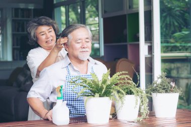 Yaşlı kocanın kafasına masaj yapan neşeli, yaşlı bir kadın. Bu sırada evlerinde birlikte saksılara ağaç dikmeye yardım ediyorlar. Yaşlı Asyalı çift kavramı.