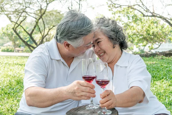 Happy love Elderly couple smile holding a wine glass , Senior couple old man and senior woman relaxing in a forest Celebrate the wedding anniversary - lifestyle senior concep