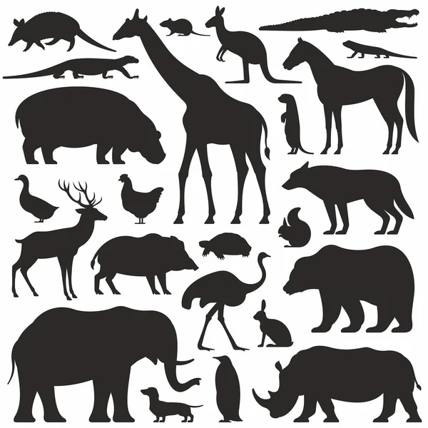 Set silhouette animali — Vettoriale Stock