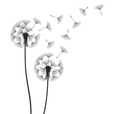 Şişirme Dandelion