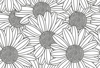 Papatya çayı Kusursuz Desen