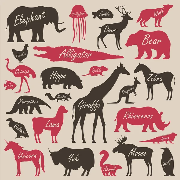 Affiche alphabet animal pour enfants — Image vectorielle