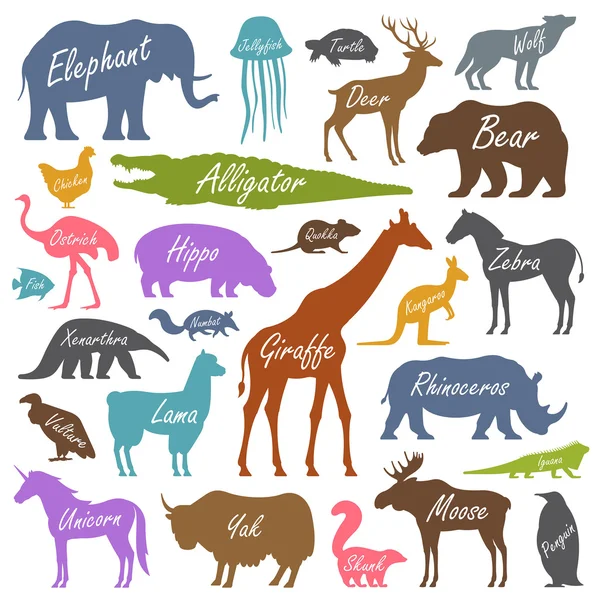 Animal alphabet poster for children — Stock Vector