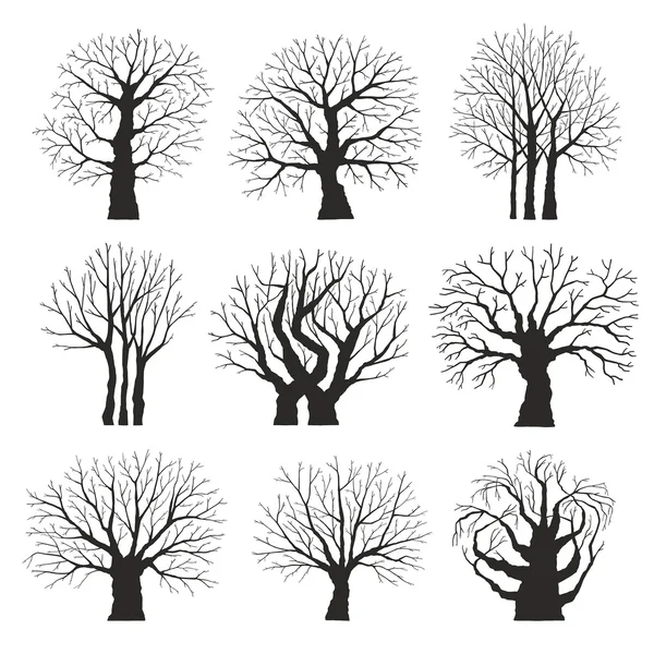 Collection of trees silhouettes — Stock Vector