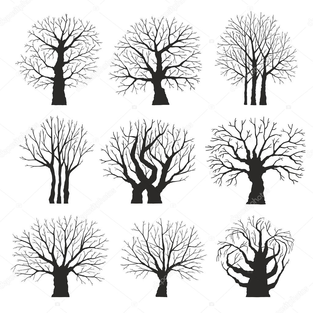 Collection of trees silhouettes