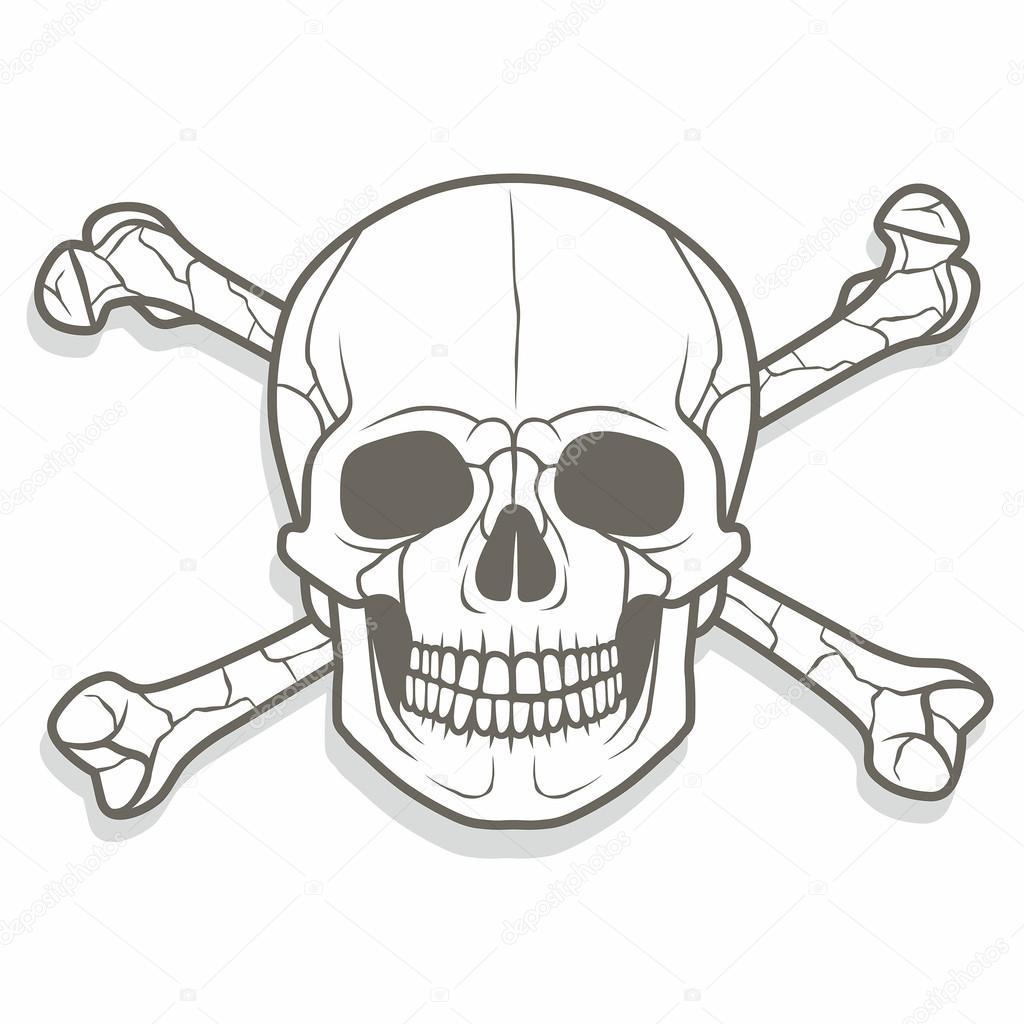 Skull and bones