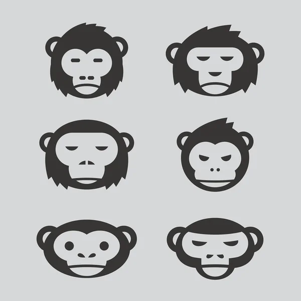 Sada návrhů Monkey — Stockový vektor