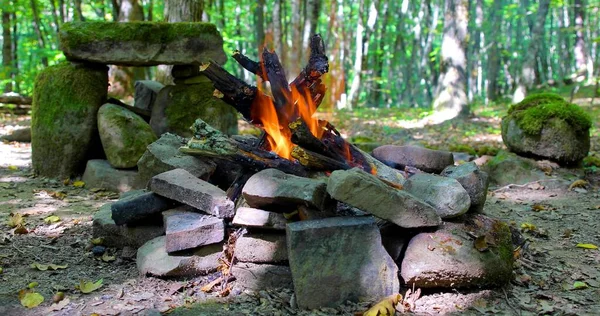 Ein Lagerfeuer Wald — Stockfoto