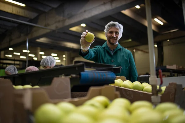 Worker holding apple in organic food factory sorting green apples and conveyer belt transporting to the cold storage.