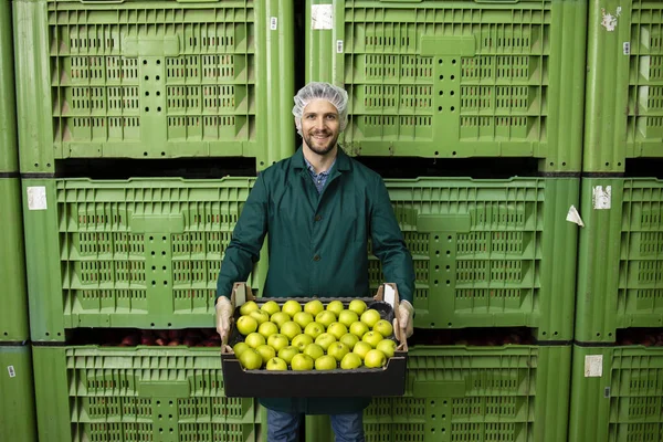 Retrato Trabalhador Segurando Caixa Cheia Maçãs Verdes Armazém Fábrica Alimentos — Fotografia de Stock