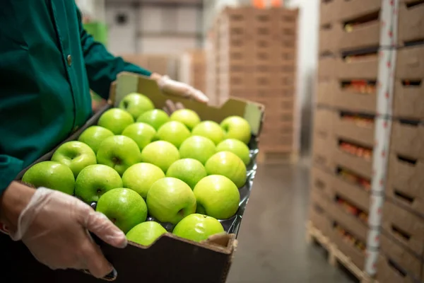 Nahaufnahme Eines Nicht Wiederzuerkennenden Arbeiters Mit Einer Kiste Voller Grüner — Stockfoto