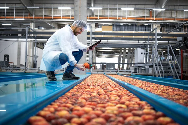 食品加工厂苹果果生产质量控制的平板计算机技师 站在水箱输送机旁 — 图库照片