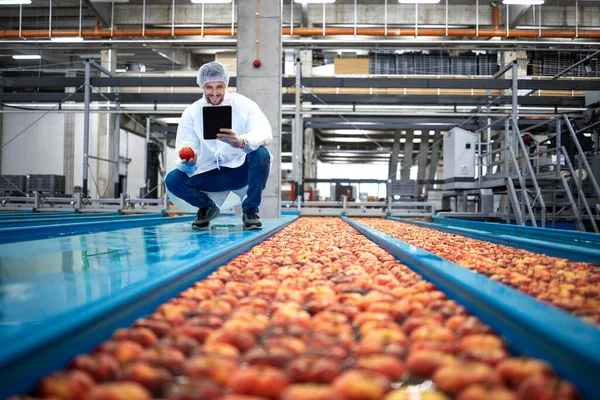 Technologist standing in food processing factory and checking quality of apple fruit.