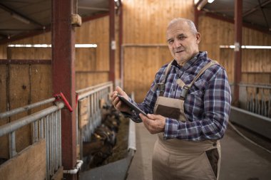 Tabletli yaşlı çiftçinin portresi. Yiyecek stoklarını kontrol ediyor ve çiftlik evindeki evcil hayvanlara bakıyor. Organik gıda ve et üretimi.