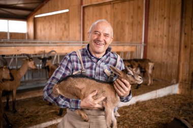 Çiftlik evinde yaşlı bir çiftçi ya da çiftçi çocuğun portresi. Arka planda ayakta duran ve yiyen evcil hayvanlar.