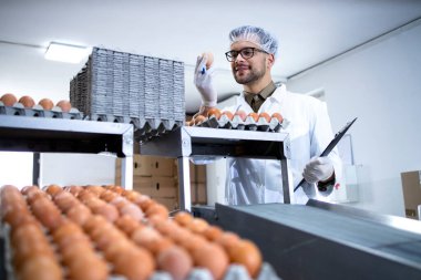 Teknoloji uzmanları yiyecek işleme tesisinde tavuk yumurtalarının kalitesini denetliyor ve kontrol ediyor..