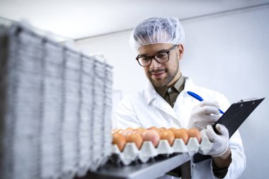 Gıda fabrikasındaki yumurta üretimini kontrol eden teknoloji uzmanı..