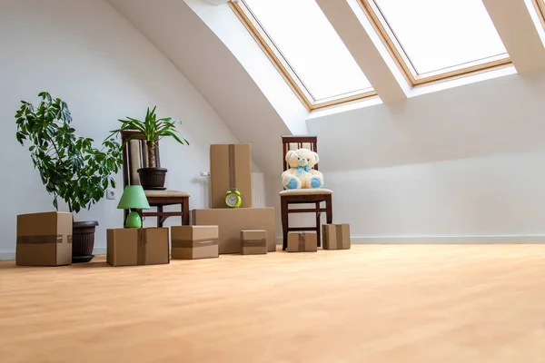 Brand New House Interior Cardboard Boxes Flowers Toys Moving —  Fotos de Stock