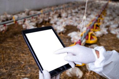 Farmer in sterile clothing holding tablet computer at poultry farm and checking production and food supply.