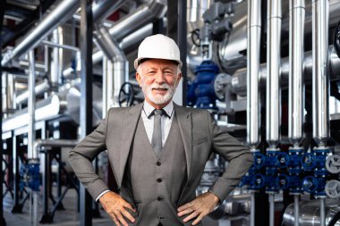 Üst düzey yönetici gülümsüyor, modern endüstriyel rafineride şapka takıyor.