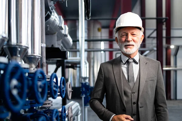 Kıdemli işadamı, kasketli bir şekilde ısıtma tesisinde güvenle duruyor.