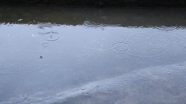 Gotas de lluvia sobre el agua — Vídeos de Stock