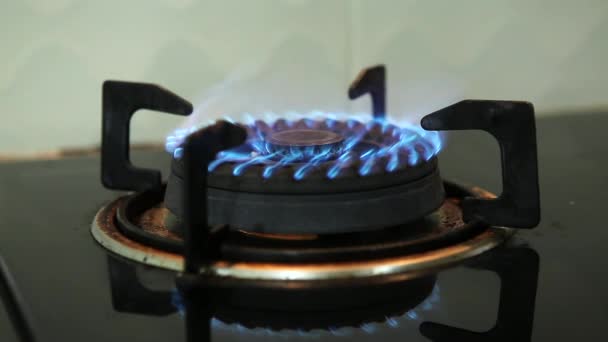 炉燃烧器中的天然气炎症 炉顶燃烧器打开 打开燃气灶燃烧器 蓝色气体 — 图库视频影像