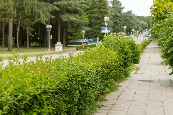 Straat in Varna — Stockfoto