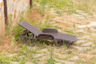 arka bahçesinde tembel