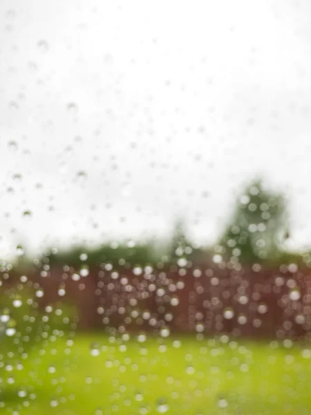 Regen auf Glas — Stockfoto