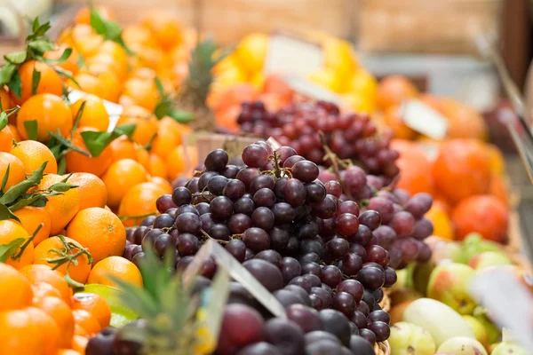 Gastronom 1'sakız, Moskova