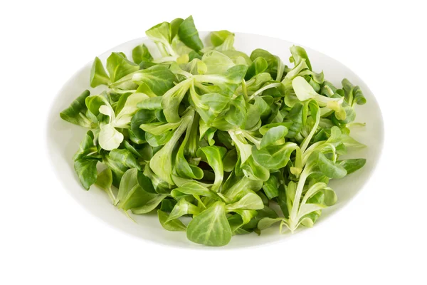 Vattenkrasse sallad — Stockfoto