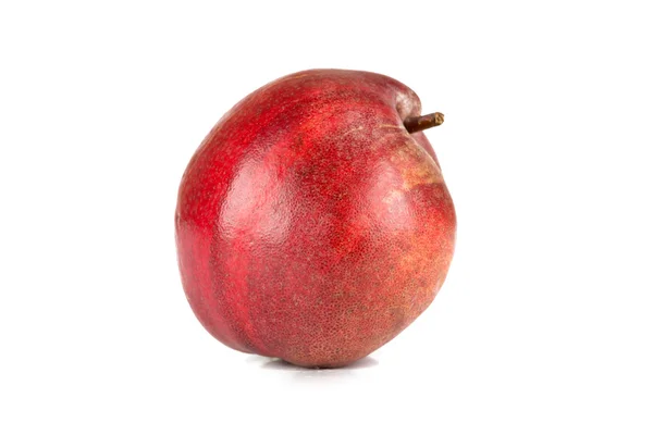D'Anjou pear — Stock Photo, Image