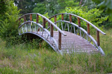 çimenlerin üzerinde ahşap köprü
