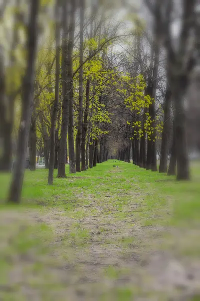 Lopen op de straat — Stockfoto