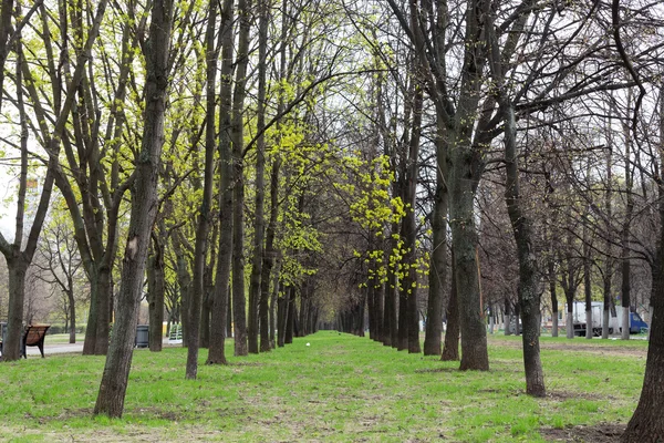 Lopen op de straat — Stockfoto