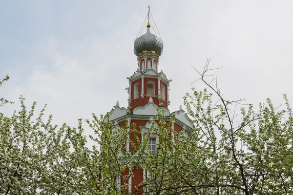 Kirche unserer Herrin von Smolensk in Sofrino Puschkin — Stockfoto