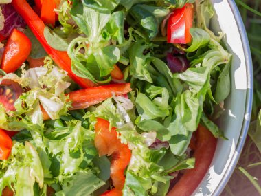 roka ve kırmızı biber salatası