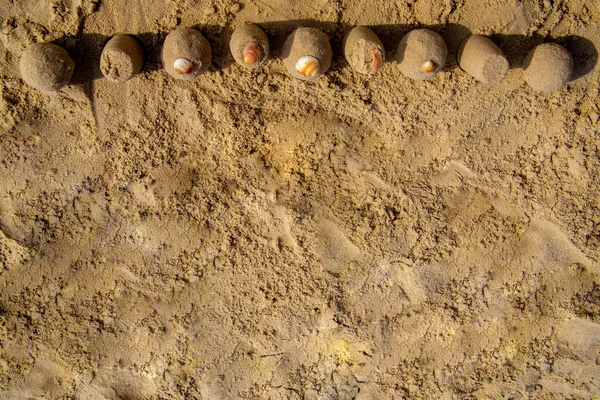 湿沙和海贝的背景 — 图库照片