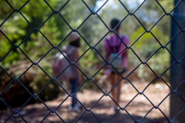 Crianças Duas Meninas Estão Atrás Das Grades Eles Levantam Olham — Fotografia de Stock